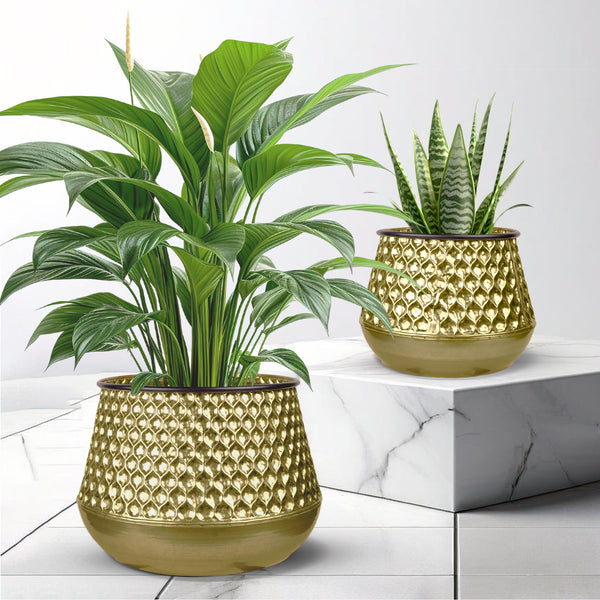 Golden Plant Container Set of 2, 26" Large 19" Small Metal Planters Decor by Sona Casa