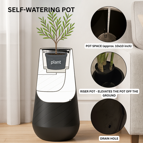 Contemporary Decorative Self Watering Pot, Modern Tall Indoor Planter, 33 in Home, Office, Garden Decoration, Gift-Sona Casa
