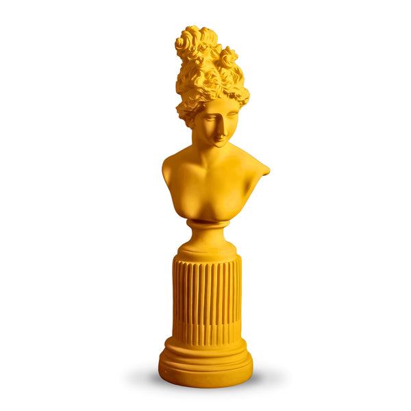 Female Bust Sculpture, Classical Roman Sculpture of Venus, Home Decor Gifts 14 inch, 36 cm by Sona Casa