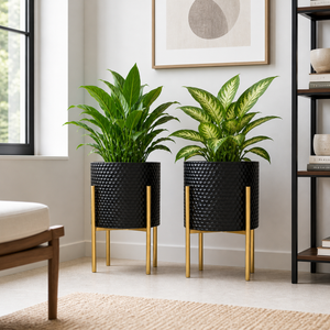black and gold planter pots Set of 2 Large Black Metal Planters with Gold Legs, Modern Indoor Outd – Sona Casa