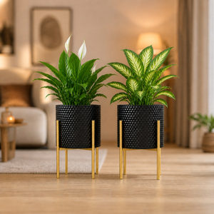 Set of 2 Small Black Metal Planters with Gold Legs - Modern Minimalist Indoor Plant Pots for Home Decor by Sona Casa