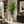 2.2 Meter Golden Palm Artificial Tree with 3 Stems and 38 Leaves in Decorative Pot for Premium Home Decor