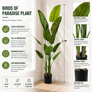 2.2 Meter Birds of Paradise Artificial Plant with Lush Green Leaves for Elegant Indoor Home Decor