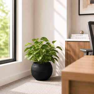 Elegant Black Small Round Planter Pot with Matte Finish for Modern Home and Office Decor