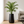 Tall Black Indoor Decorative Planter, 27