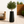 Contemporary Decorative Self Watering Pot, Modern Tall Black Indoor Planter, 33 in Home, Office, Garden Decoration, Gift-Sona Casa