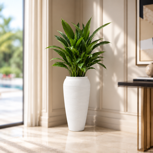 White Riser Planter – white textured riser planter with green foliage near a window