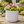 White Pot for Plants 42 CM, Planter Indoor Outdoor Ornament Home Garden Porch Living Room Decor by Sona Casa