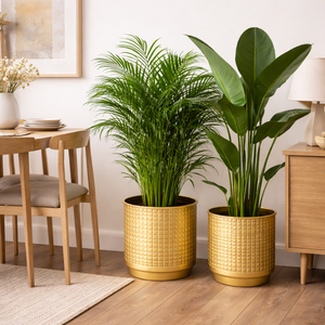 Golden Foil Pots, Pair of Decorative Planters Large and Small 25 cm, 22 cm Set of 2, Living Room, Office Decor-Sona Casa