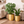 Golden Foil Pots, Pair of Decorative Planters Large and Small 25 cm, 22 cm Set of 2, Living Room, Office Decor-Sona Casa