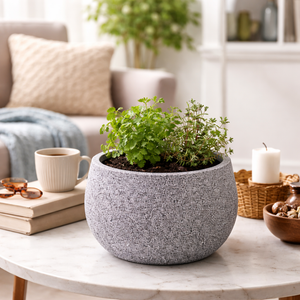 Dark Gray Round Pot for Plants, Planters Indoor Outdoor, Living Room, Garden, Patio Decor by Sona Casa