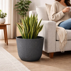 Modern Round Plastic Planter, 12-Inch Slate Gray Flower Pot, Home Office Garden Patio Porch Decor by Sona Casa