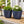 2 blue planter pot sets by Sona Casa