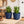 2 blue planter pot sets by Sona Casa