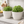 2 White planter pots by Sona Casa
