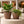 2 Brown Planter Pots by Sona Casa