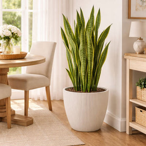 Modern Round Plastic Planter, 11 inch White Flower Pot with Drainage Hole, Home Office Garden Decor by Sona Casa