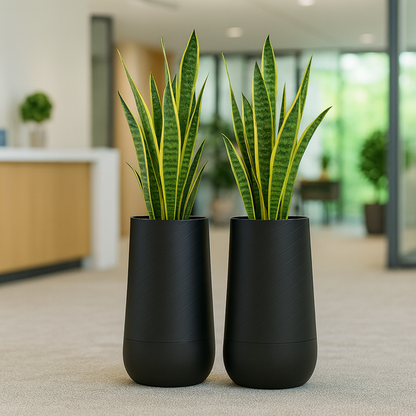 Set of 2 Contemporary Decorative Self Watering Pot, Modern Tall Black Indoor Planter, 33 in Home, Office, Garden Decoration, Gift-Sona Casa