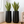 Set of 2 Contemporary Decorative Self Watering Pot, Modern Tall Black Indoor Planter, 33 in Home, Office, Garden Decoration, Gift-Sona Casa