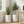 Set of 2 Modern Tall White Indoor Self Watering Decorative Planter, 19 in Contemporary Flower Pot Home, Office Decoration, Gift-Sona Casa