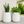 Set of 2 Modern Tall White Indoor Self Watering Decorative Planter, 19 in Contemporary Flower Pot Home, Office Decoration, Gift-Sona Casa