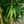 Artificial Bamboo Tree 4 ft Tall, Indoor Silk Bamboo, Realistic Fake Plant for Living Room Office Home Decor-Sona Casa