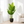 Large Artificial Bird of Paradise, 47