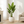 Large Artificial Bird of Paradise, 47