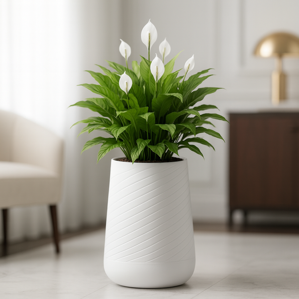 Modern Tall White Indoor Self Watering Decorative Planter, 19 in Contemporary Flower Pot Home, Office Decoration, Gift-Sona Casa