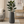 Modern Tall Black Indoor Self Watering Decorative Plant Pot, 33 in Contemporary Flower Pot Home, Office, Garden Decoration, Gift-Sona Casa