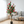 Artificial Flowering Tree, 5 ft Tall Fake Pink Camellia Tree Plant in Cement Base, Indoor Decor for Home or Office, Gift-Sona Casa
