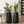 Set of 2 Tall White Indoor Self Watering Decorative Planters, 27 Inch Tall Black Planter with Riser Pot, Drain Hole-Sona Casa