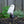 Magical White Owl Solar Statue With Black Stick - Outdoor Garden Decor & Bird Deterrent by Accent Collection