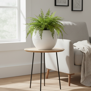 Round White Self Watering Plant Pot, Indoor Home, Office, Patio, Front Porch, Decor, 18" Succulent Planter-Sona Casa