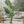 Large Artificial Monstera Plant, 120cm Nealy Natural with Cement Base, Indoor, Patio, Porch, Home Office Decor, Gifts-Sona Casa