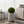 Modern Tall White Indoor Outdoor Decorative Planter, 33 in Contemporary Flower Pot Home, Office, Garden Decoration, Gift