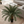 Artificial Sago Palm Plant, Indoor Home Office Decor, Realistic 83 cm Tropical Faux Cycas Plant with Stable Base