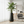Modern Tall Black Indoor Outdoor Decorative Plant Pot, 33 in Contemporary Flower Pot Home, Office, Garden Decoration, Gift