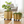 Golden Metal Foil Planter Set with Drain Plug, Indoor Plant Pot with Wheels for Fresh or Faux Plants Home Decor Gift