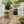 Modern Black Metal Pots Set Indoor Planters with Golden Stand for Fresh or Artificial Plants Living Room Office Decoration, Gifts