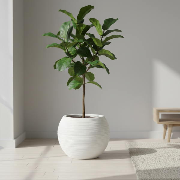 Round White Self Watering Plant Pot, Indoor Home, Office, Patio, Front Porch, Decor, 18" Succulent Planter-Sona Casa