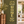 Gold DIY 3D Acrylic HOME Wall Stickers and Decals