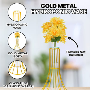 Hydroponic Vase, Gold Metal, Glass Propagation Terrarium Pot 7" Tabletop by Sona Casa