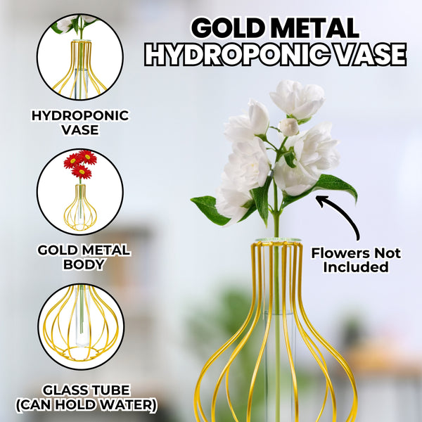 Gold Metal Hydroponic Flower Pot, Glass Propagation Tube, 7" Indoor Decor by Sona Casa