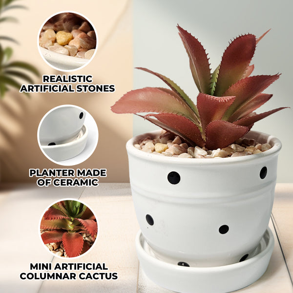 Potted Artificial Succulent in White Planter, 5" Desktop Decor Home Office by Sona Casa