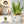 Potted Fake Plant, 5