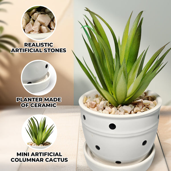 Potted Fake Plant, 5" Artificial Succulent in Ceramic Planter Home Decor by Sona Casa