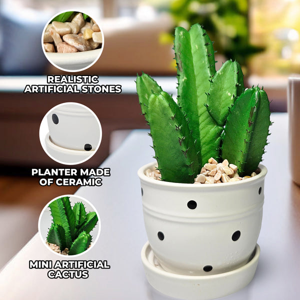 Potted Faux Mini African Milk Tree, 5" Artificial Cactus in White Planter by Sona Casa