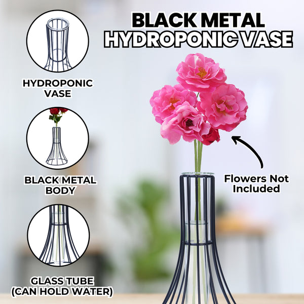Hydroponic Terrarium Propagation Vase, 7" Tabletop Centerpiece Home Decor