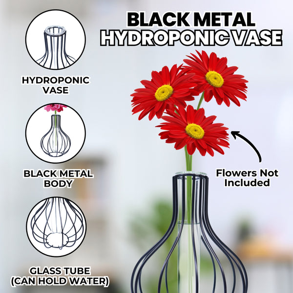 Hydroponic Pot, 7" Metal, Glass Terrarium Propagation Vase, Home Decor by Sona Casa